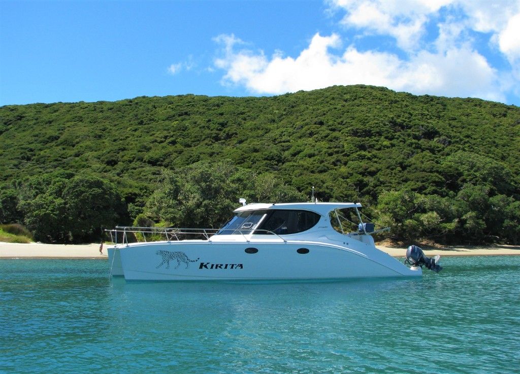 Comfortable Economical Cruising Catamaran Boat for Sale