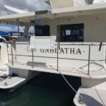 15 Mtr Bruce Harris Catamaran Boat for Sale