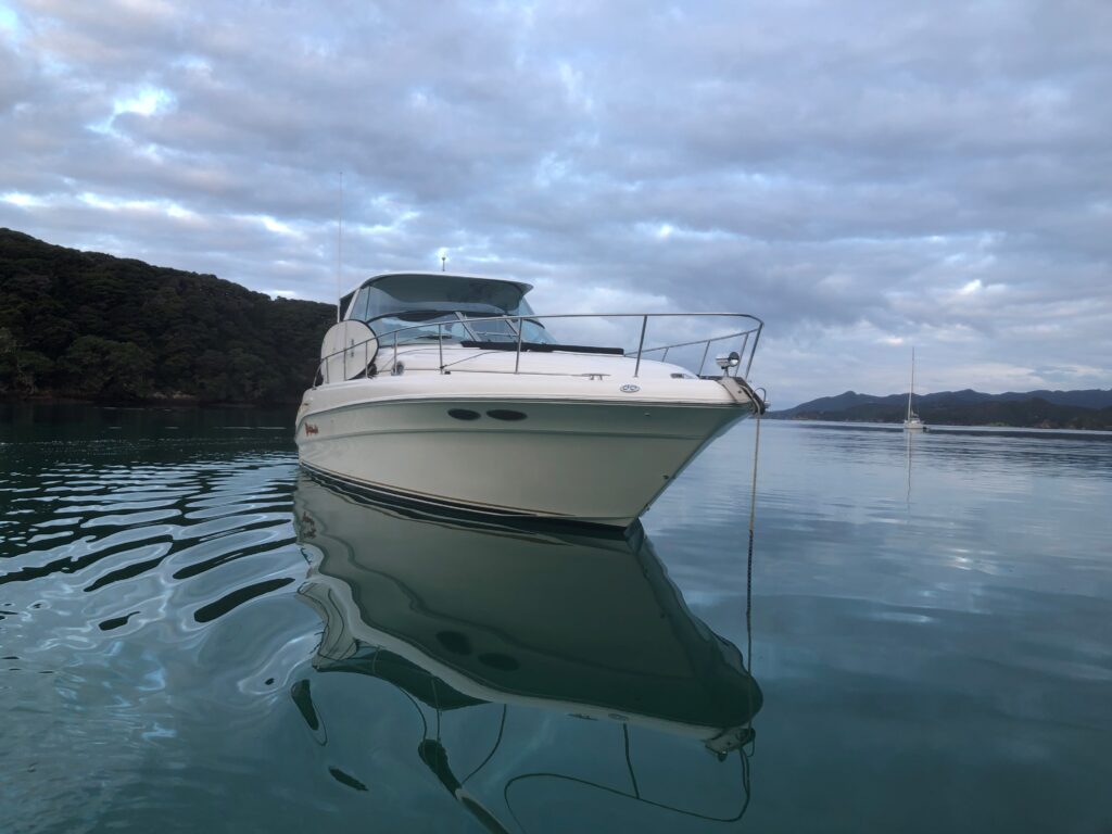 Searay 340 Sundancer Sport Cruiser Boat for Sale